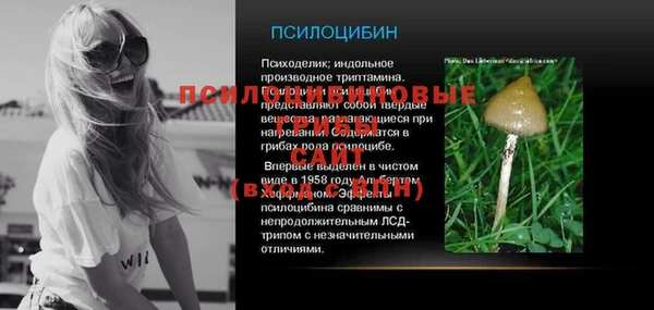 стаф Волоколамск
