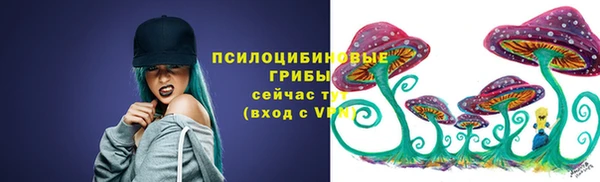 стаф Волосово