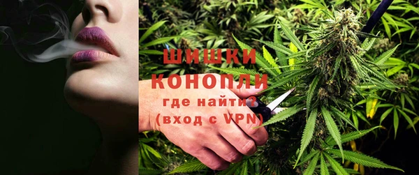 стаф Волосово