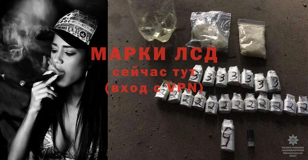 стаф Волоколамск