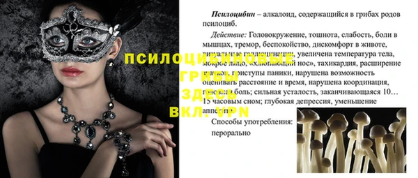 стаф Волосово