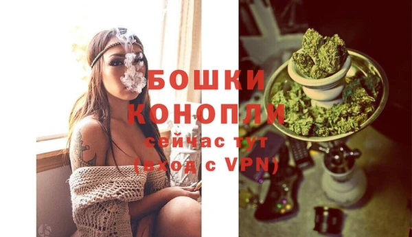 стаф Волосово
