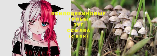 spice Верея
