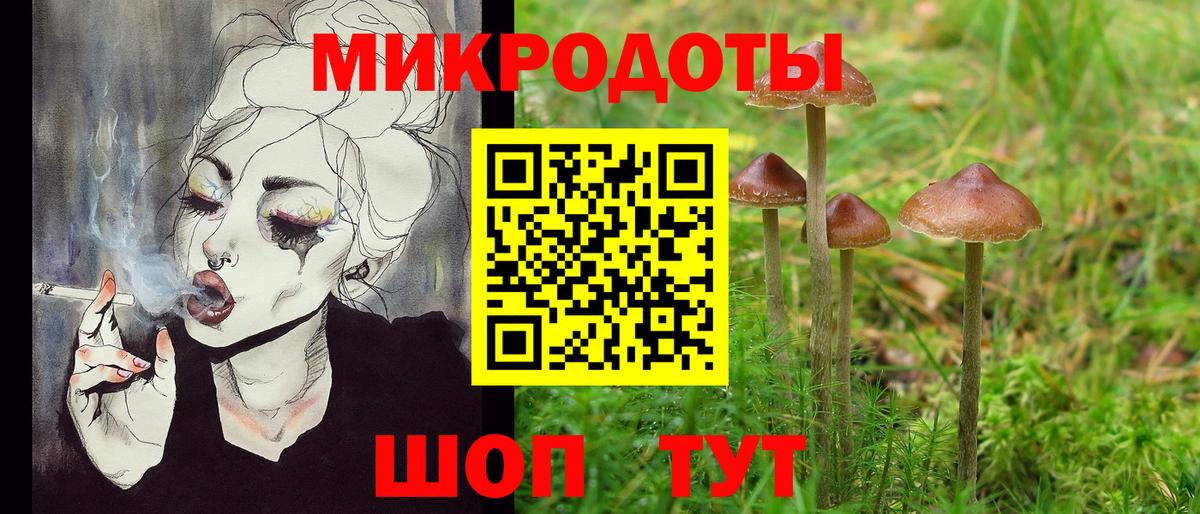 Галлюциногенные грибы ЛСД  Вход с VPN  Славянск-на-Кубани  Галлюциногенные грибы GOLDEN TEACHER 